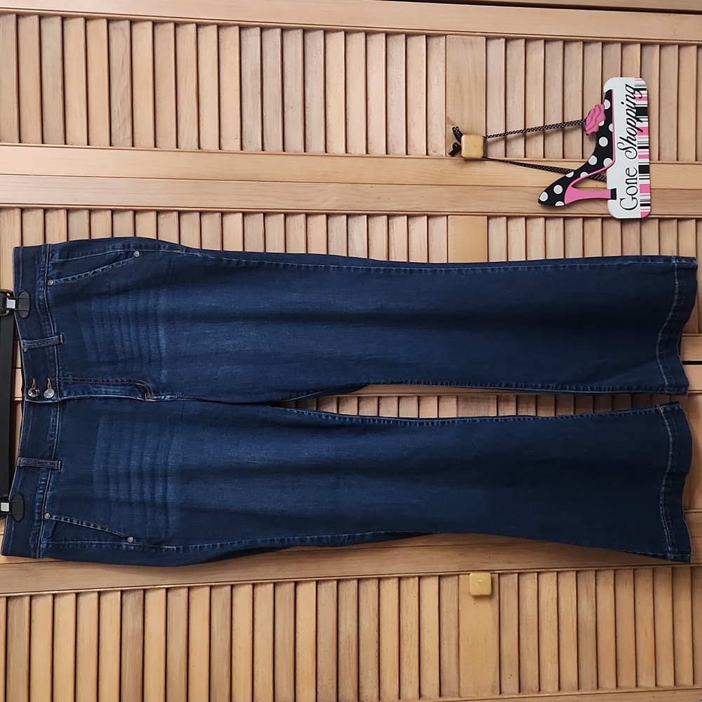 Lane Bryant Denim Tummy Control Jeans